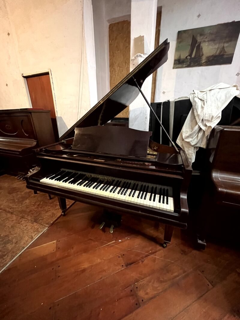 Piano de cola Steinbach alemán – Solo 3.000 USD - Image 2