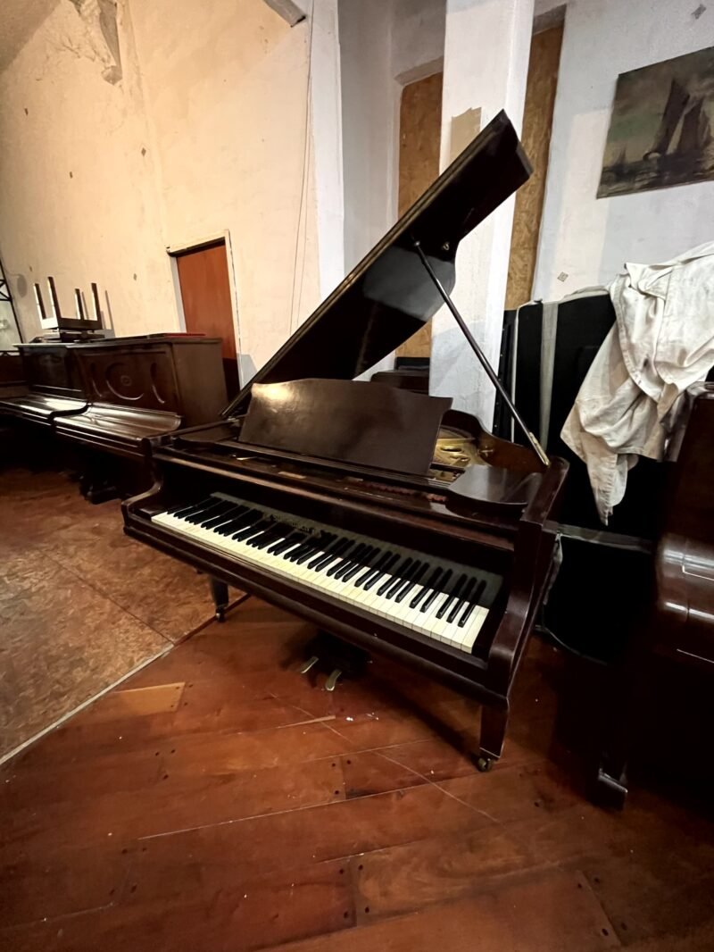 Piano de cola Steinbach alemán – Solo 3.000 USD - Image 4